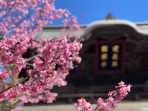 建長寺(神奈川県)