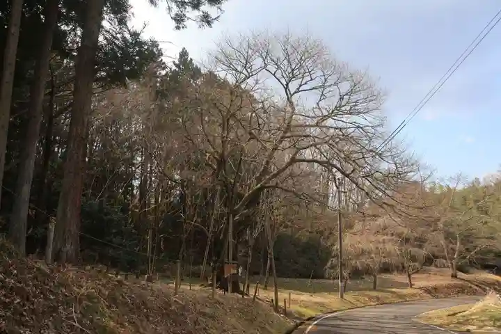日枝神社の自然