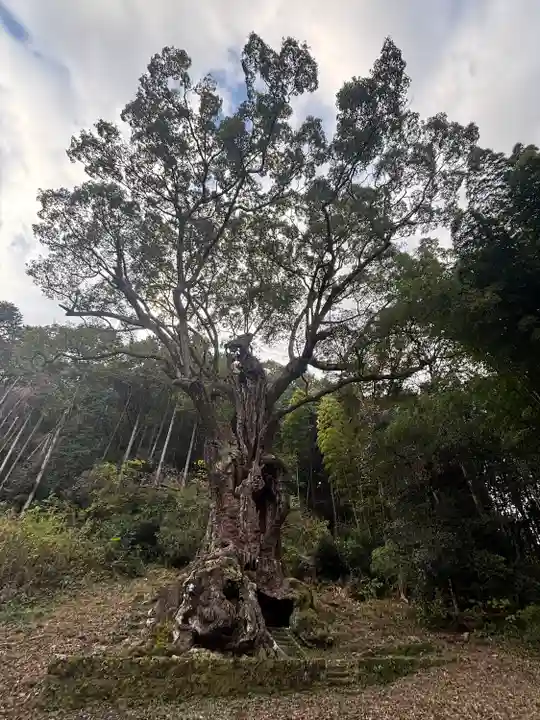 武雄神社(佐賀県)
