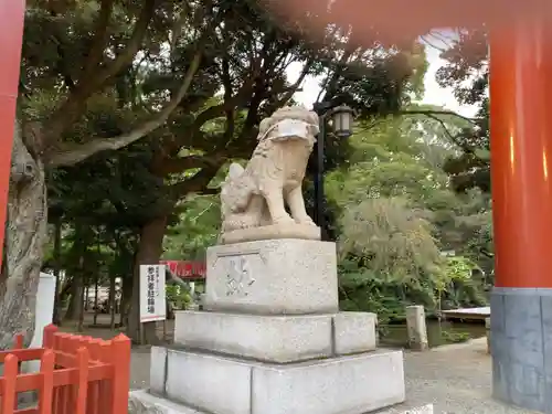 平塚八幡宮の狛犬