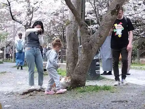 熊野若王子神社(京都府)
