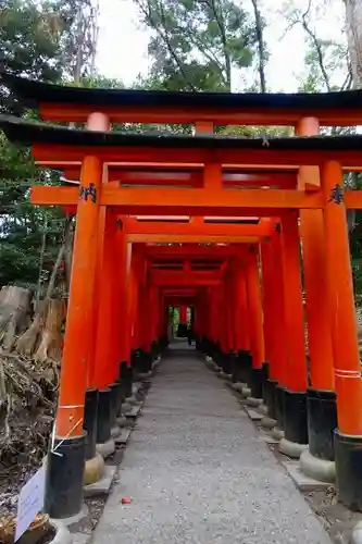 伏見稲荷大社の鳥居