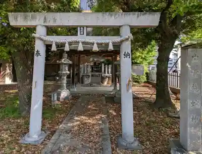 八幡社（四女子八幡社）の{uncategorized: "未分類", other: "その他", undefined: "問題あり", building: "その他建物", grave: "お墓", sacred_gate: "鳥居", guardian: "狛犬", statue: "像", buddha: "仏像", history: "歴史", nature: "自然", garden: "庭園", animal: "動物", pagoda: "塔", temizu: "手水舎", mountain_gate: "山門・神門", sanctuary: "本殿・本堂", subordinate: "末社・摂社", art: "芸術", scenery: "景色", jizo: "地蔵", ema: "絵馬", goshuin: "御朱印", omikuji: "おみくじ", items: "授与品その他", amulet: "お守り", goshuincho: "御朱印帳", eats: "食事", festival: "お祭り", votive_dance: "神楽", shichigosan: "七五三参", wedding: "結婚式", experience: "体験その他", initially: "初詣", around: "周辺", anti_infection: "感染症対策"}