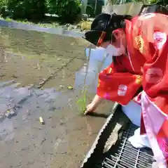 立志神社のお祭り