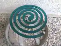 福井神社(福井県)