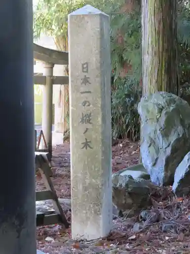 大宮熱田神社の建物その他