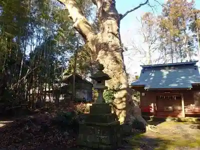 沼尾神社の建物その他