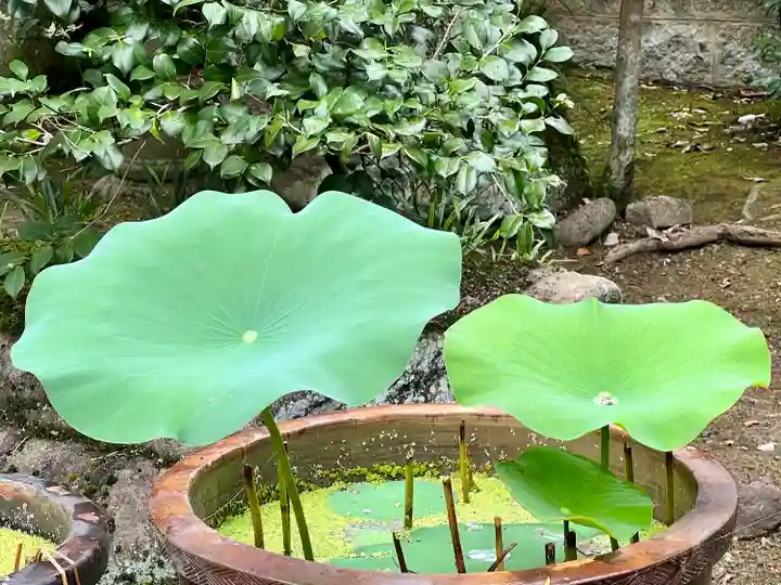 伊勢の国 四天王寺(三重県)