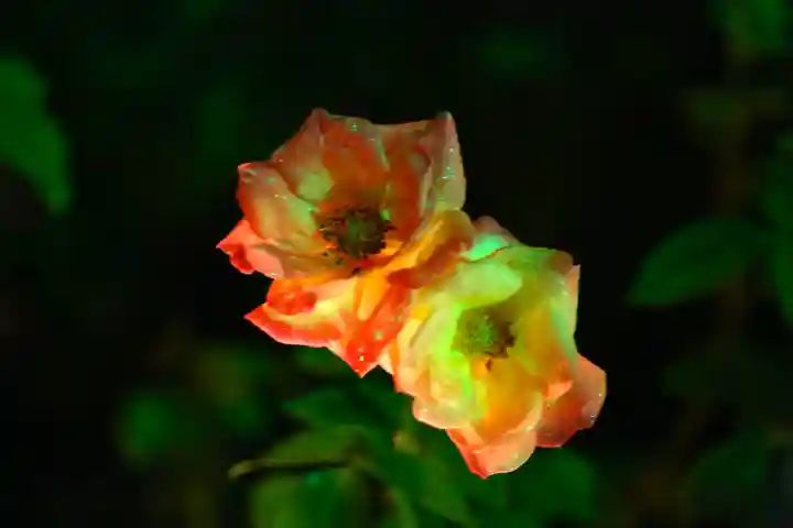 円通院(宮城県)