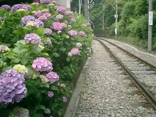御霊神社の周辺