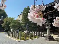 本法寺(京都府)