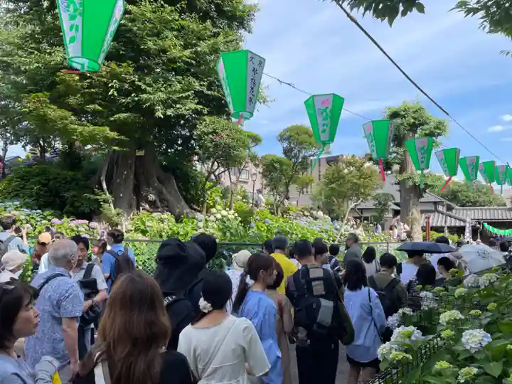 白山神社(東京都)