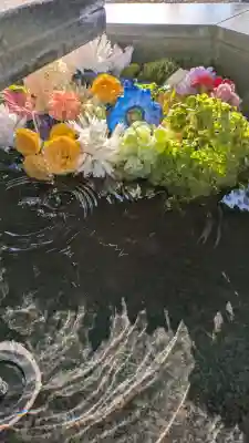 新琴似神社の{uncategorized: "未分類", other: "その他", undefined: "問題あり", building: "その他建物", grave: "お墓", sacred_gate: "鳥居", guardian: "狛犬", statue: "像", buddha: "仏像", history: "歴史", nature: "自然", garden: "庭園", animal: "動物", pagoda: "塔", temizu: "手水舎", mountain_gate: "山門・神門", sanctuary: "本殿・本堂", subordinate: "末社・摂社", art: "芸術", scenery: "景色", jizo: "地蔵", ema: "絵馬", goshuin: "御朱印", omikuji: "おみくじ", items: "授与品その他", amulet: "お守り", goshuincho: "御朱印帳", eats: "食事", festival: "お祭り", votive_dance: "神楽", shichigosan: "七五三参", wedding: "結婚式", experience: "体験その他", initially: "初詣", around: "周辺", anti_infection: "感染症対策"}