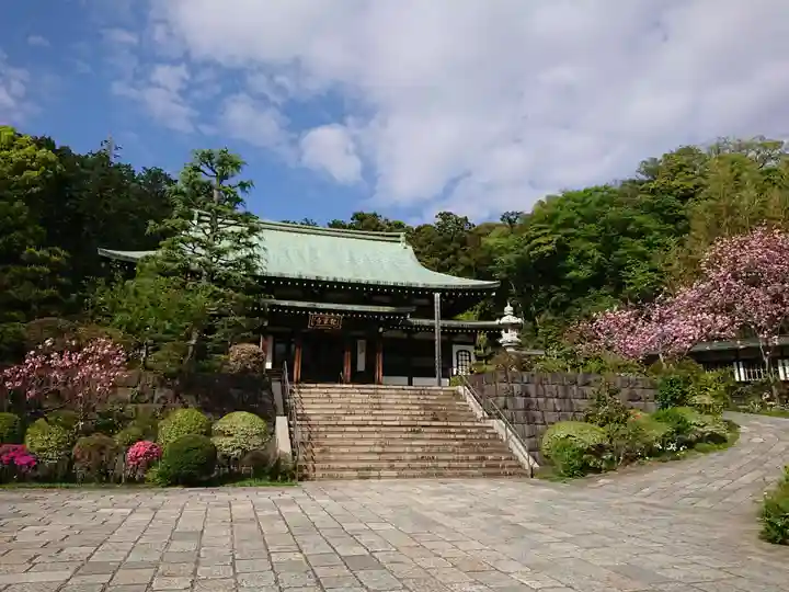 龍寳寺(龍宝寺)(神奈川県)