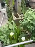 関町南御嶽神社(東京都)