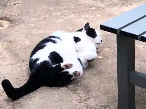 王子神社の動物