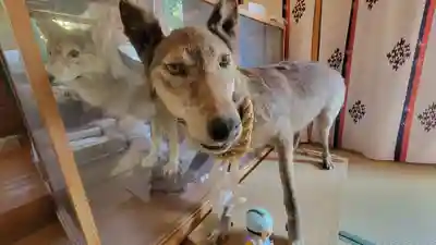 木野山神社(愛媛県)