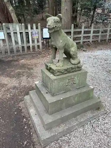 宝登山神社奥宮の狛犬