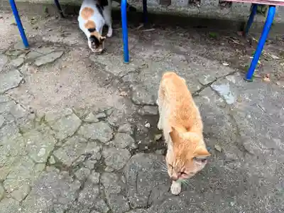 豊玉姫神社(香川県)