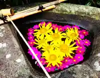 真言宗 善通寺派 薬王寺(香川県)