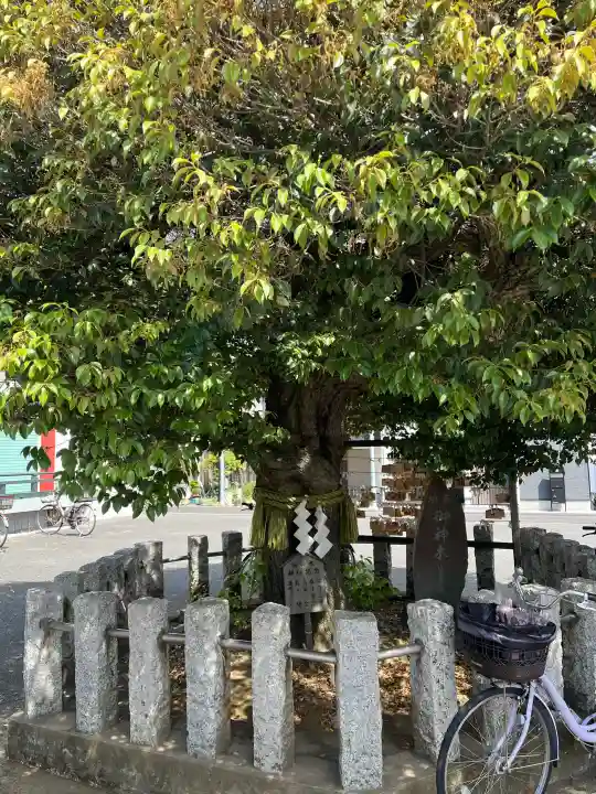 多摩川諏訪神社の{uncategorized: "未分類", other: "その他", undefined: "問題あり", building: "その他建物", grave: "お墓", sacred_gate: "鳥居", guardian: "狛犬", statue: "像", buddha: "仏像", history: "歴史", nature: "自然", garden: "庭園", animal: "動物", pagoda: "塔", temizu: "手水舎", mountain_gate: "山門・神門", sanctuary: "本殿・本堂", subordinate: "末社・摂社", art: "芸術", scenery: "景色", jizo: "地蔵", ema: "絵馬", goshuin: "御朱印", omikuji: "おみくじ", items: "授与品その他", amulet: "お守り", goshuincho: "御朱印帳", eats: "食事", festival: "お祭り", votive_dance: "神楽", shichigosan: "七五三参", wedding: "結婚式", experience: "体験その他", initially: "初詣", around: "周辺", anti_infection: "感染症対策"}