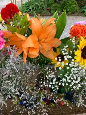 水堂須佐男神社(兵庫県)