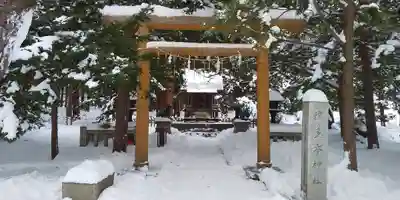 北海道神宮の鳥居