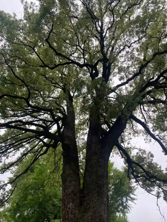 冠稲荷神社(群馬県)