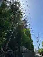 埼玉縣護國神社(埼玉県)