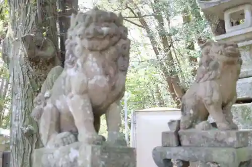 阿賀神社(滋賀県)