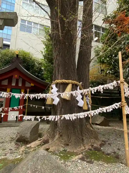 日本橋日枝神社の{uncategorized: "未分類", other: "その他", undefined: "問題あり", building: "その他建物", grave: "お墓", sacred_gate: "鳥居", guardian: "狛犬", statue: "像", buddha: "仏像", history: "歴史", nature: "自然", garden: "庭園", animal: "動物", pagoda: "塔", temizu: "手水舎", mountain_gate: "山門・神門", sanctuary: "本殿・本堂", subordinate: "末社・摂社", art: "芸術", scenery: "景色", jizo: "地蔵", ema: "絵馬", goshuin: "御朱印", omikuji: "おみくじ", items: "授与品その他", amulet: "お守り", goshuincho: "御朱印帳", eats: "食事", festival: "お祭り", votive_dance: "神楽", shichigosan: "七五三参", wedding: "結婚式", experience: "体験その他", initially: "初詣", around: "周辺", anti_infection: "感染症対策"}