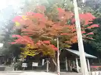 金刀比羅神社の自然