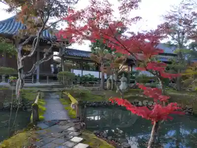 新薬師寺(奈良県)