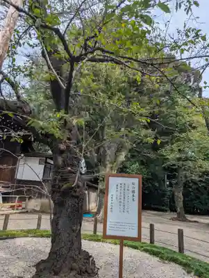 靖國神社(東京都)