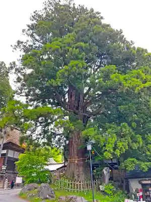 戸隠神社中社(長野県)