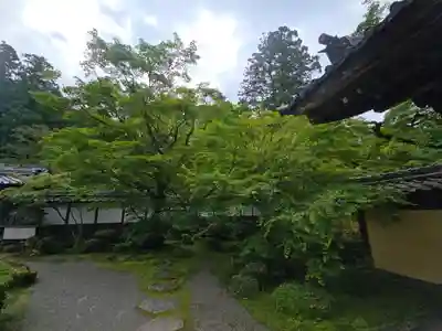 西明寺(滋賀県)