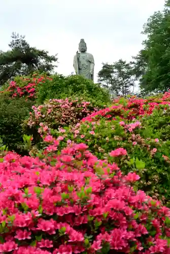 塩船観音寺のその他建物