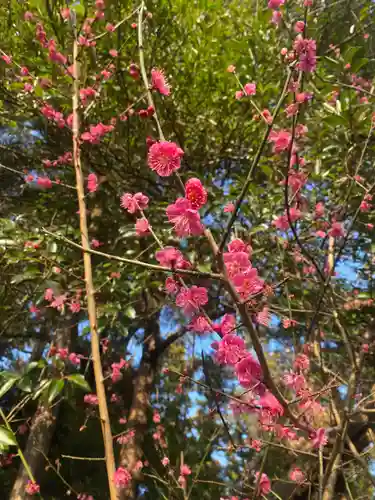 矢奈比賣神社（見付天神）(静岡県)