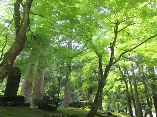 永平寺(福井県)