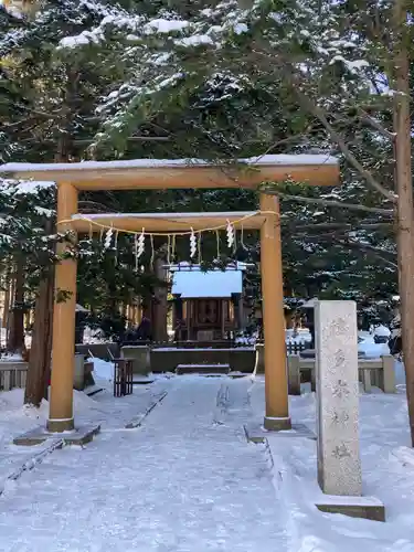 北海道神宮の鳥居
