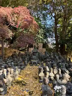 杉本寺(神奈川県)