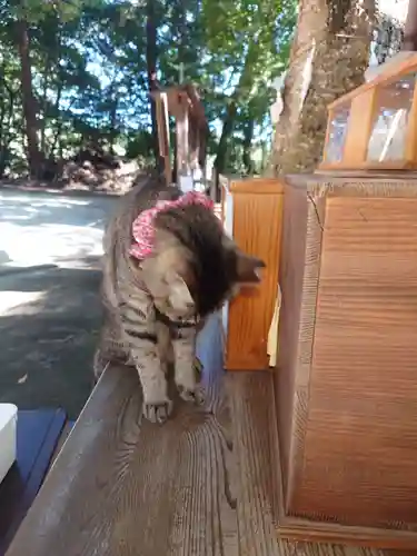 氷川女體神社の仏像