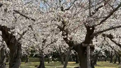 大元 宗忠神社(岡山県)