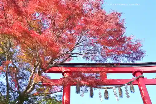 高尾山薬王院(東京都)