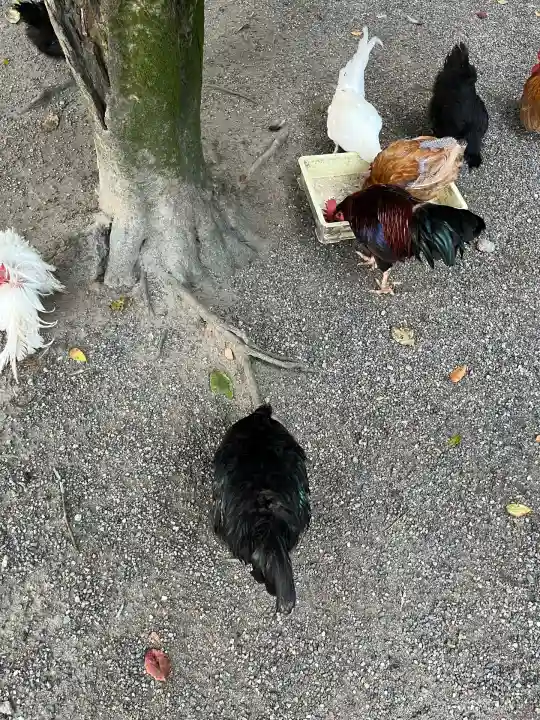 石上神宮(奈良県)