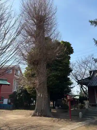 雷電神社の{uncategorized: "未分類", other: "その他", undefined: "問題あり", building: "その他建物", grave: "お墓", sacred_gate: "鳥居", guardian: "狛犬", statue: "像", buddha: "仏像", history: "歴史", nature: "自然", garden: "庭園", animal: "動物", pagoda: "塔", temizu: "手水舎", mountain_gate: "山門・神門", sanctuary: "本殿・本堂", subordinate: "末社・摂社", art: "芸術", scenery: "景色", jizo: "地蔵", ema: "絵馬", goshuin: "御朱印", omikuji: "おみくじ", items: "授与品その他", amulet: "お守り", goshuincho: "御朱印帳", eats: "食事", festival: "お祭り", votive_dance: "神楽", shichigosan: "七五三参", wedding: "結婚式", experience: "体験その他", initially: "初詣", around: "周辺", anti_infection: "感染症対策"}