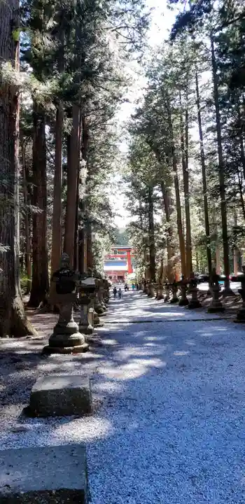 北口本宮冨士浅間神社のその他建物