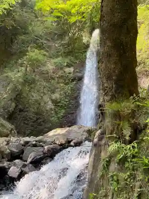 養老神社(岐阜県)