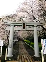 豊葦原神社の鳥居