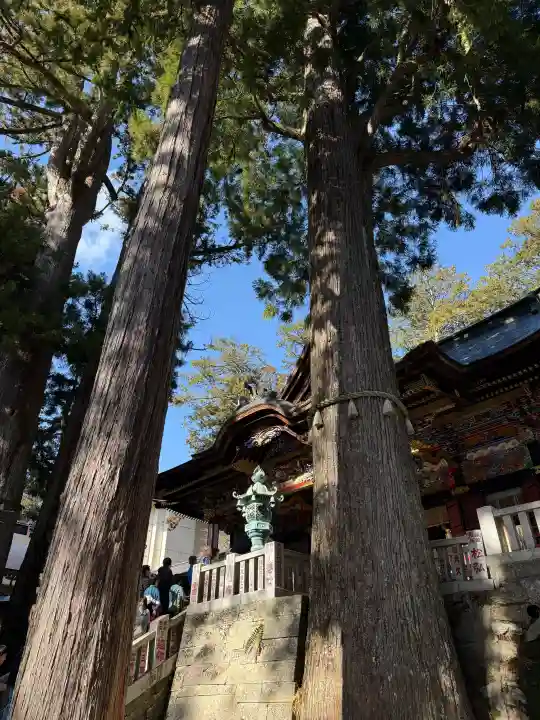 三峯神社の{uncategorized: "未分類", other: "その他", undefined: "問題あり", building: "その他建物", grave: "お墓", sacred_gate: "鳥居", guardian: "狛犬", statue: "像", buddha: "仏像", history: "歴史", nature: "自然", garden: "庭園", animal: "動物", pagoda: "塔", temizu: "手水舎", mountain_gate: "山門・神門", sanctuary: "本殿・本堂", subordinate: "末社・摂社", art: "芸術", scenery: "景色", jizo: "地蔵", ema: "絵馬", goshuin: "御朱印", omikuji: "おみくじ", items: "授与品その他", amulet: "お守り", goshuincho: "御朱印帳", eats: "食事", festival: "お祭り", votive_dance: "神楽", shichigosan: "七五三参", wedding: "結婚式", experience: "体験その他", initially: "初詣", around: "周辺", anti_infection: "感染症対策"}